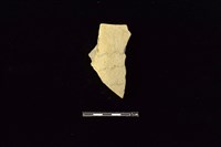 藏品(陶片)的圖片